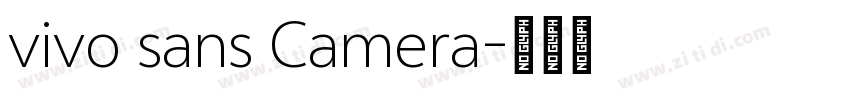 vivo sans Camera字体转换